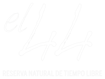 El 44